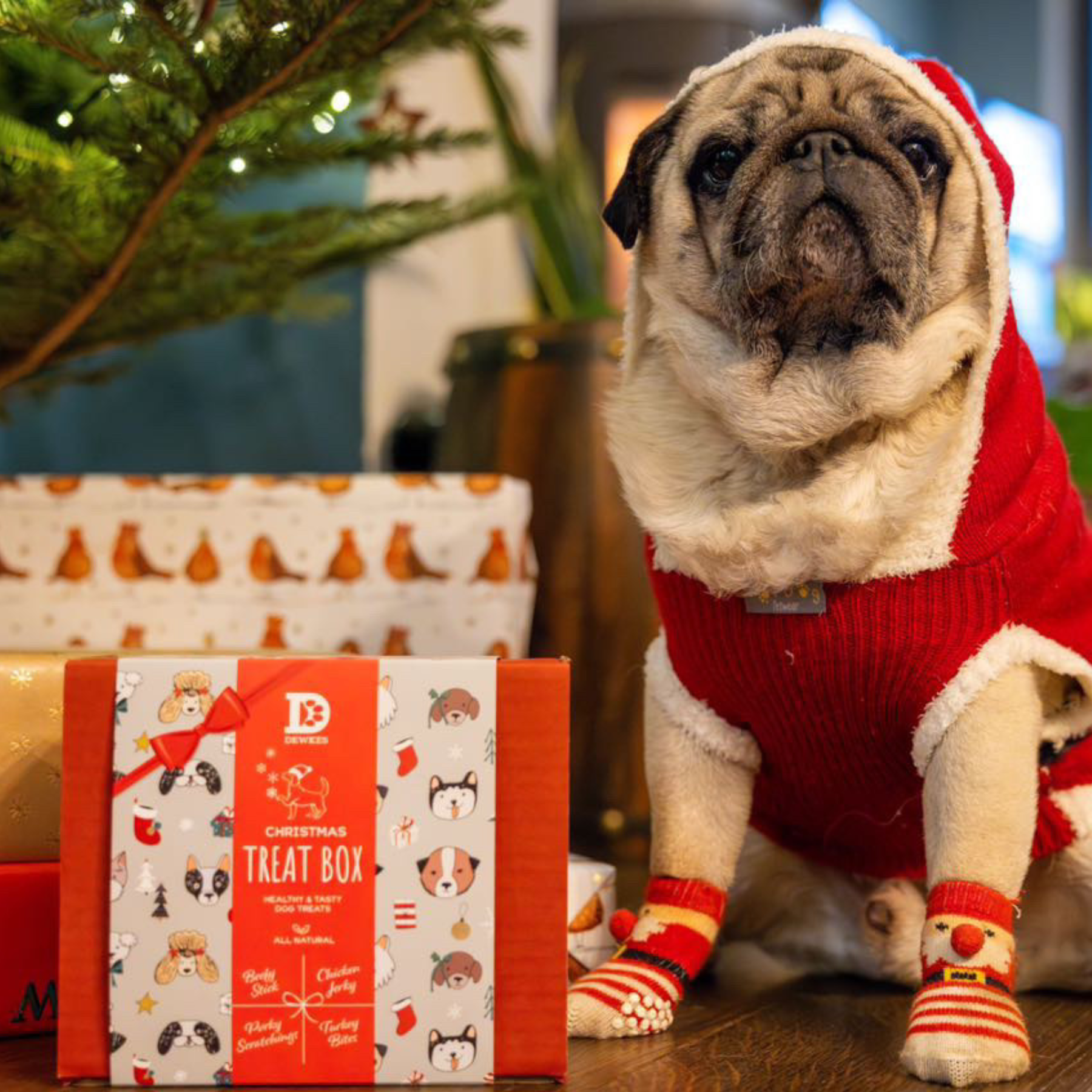 The Christmas Box - Case of 4