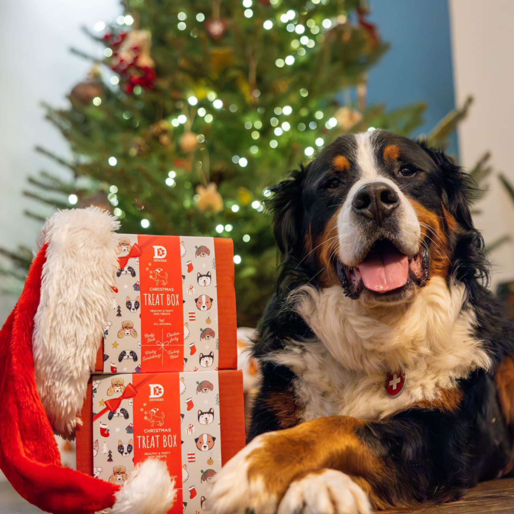 The Christmas Box - Case of 4
