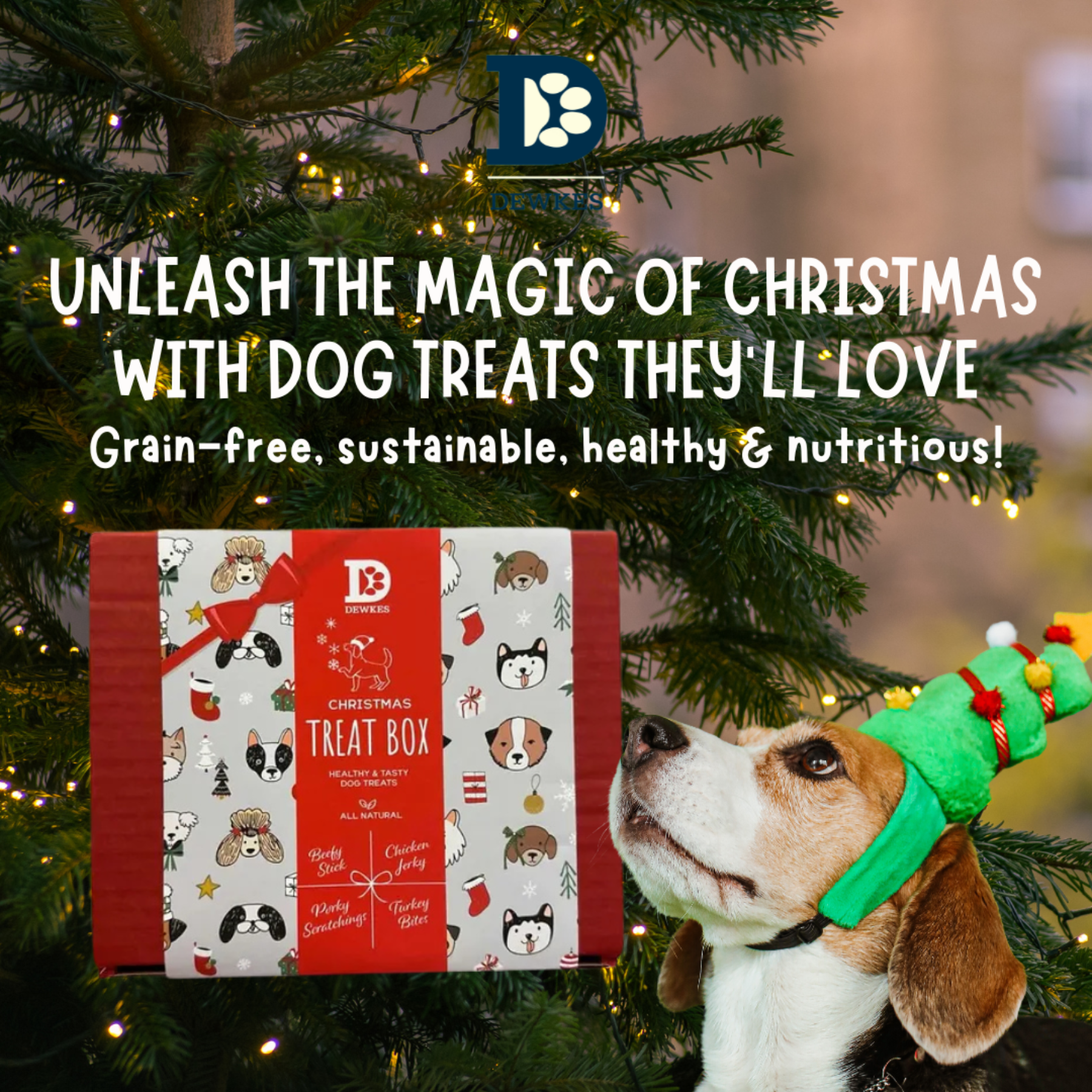 The Christmas Box - Case of 4