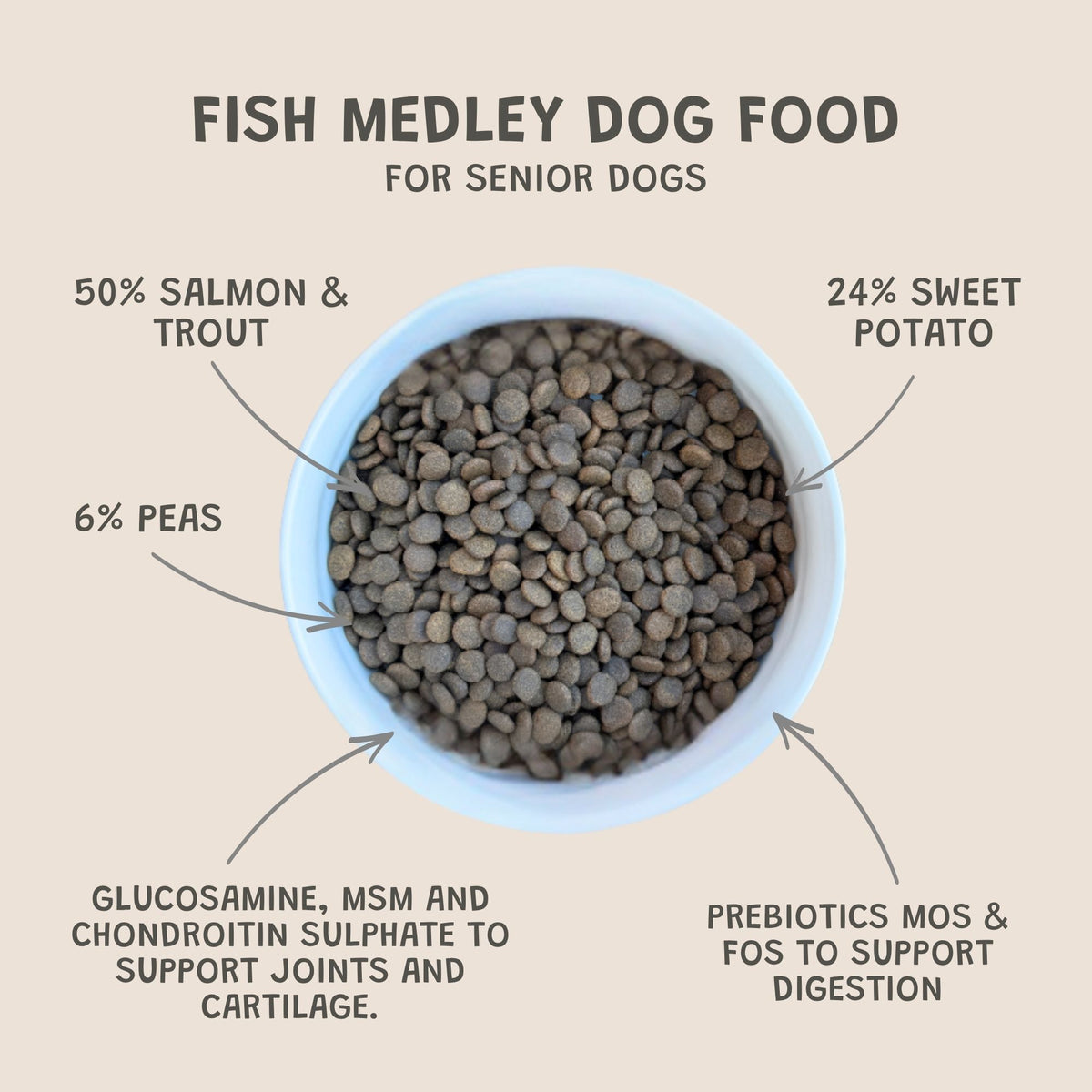 Fish Medley Senior Grain-Free Dry Dog Food