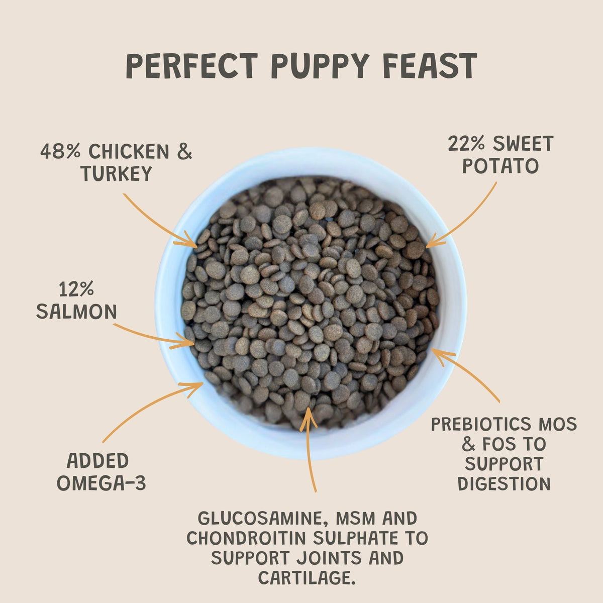 Perfect Puppy Feast Grain-Free Dry Dog Food
